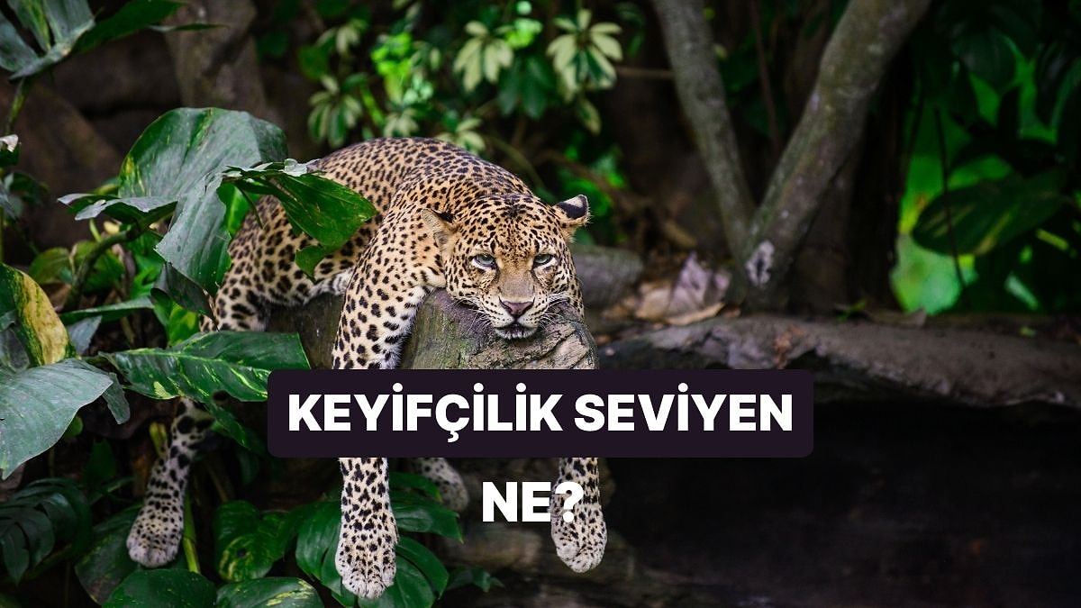 Sen Ne Kadar Keyifçisin?