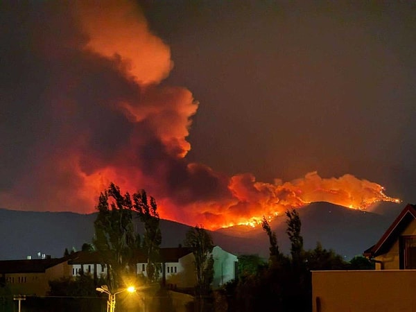 Ödemiş ilçesinde dün akşam saat 21.05'te çıkan orman yangını, rüzgarın etkisiyle geniş bir bölgeyi etkisi altına aldı.