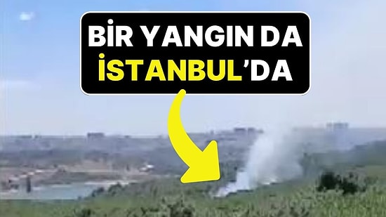 İstanbul Sultangazi'deki Kent Ormanı'nda Yangın Çıktı