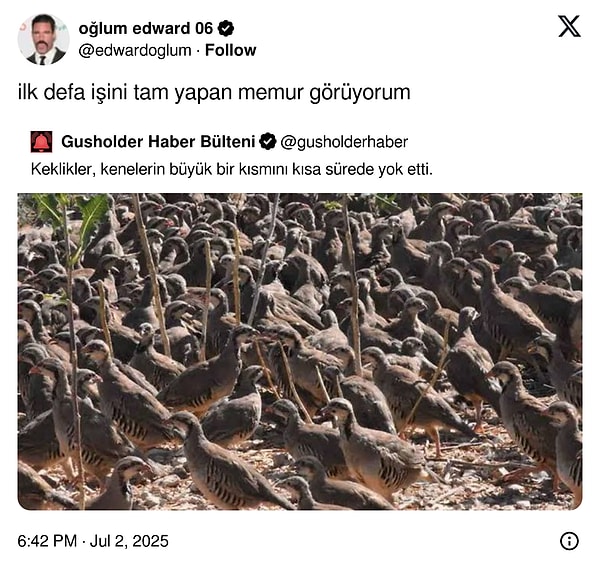 👇