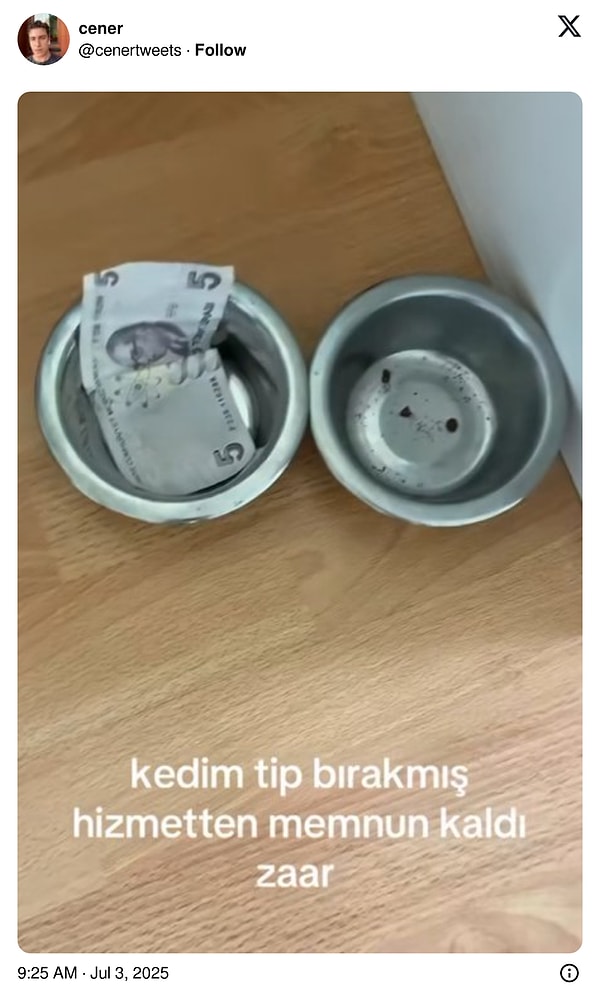 Görgülü kedi...