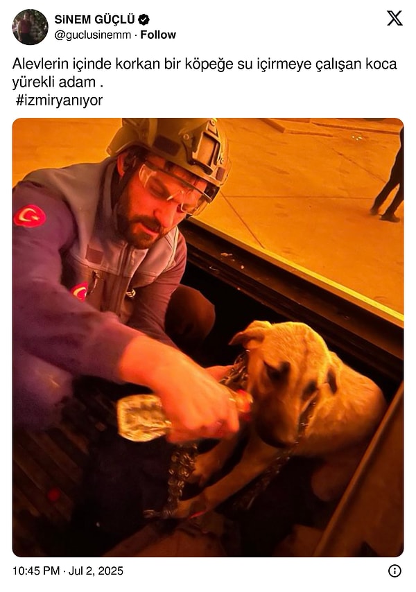 Sevmeyi öğrenmezsek hep birlikte yok olacağız... 👇