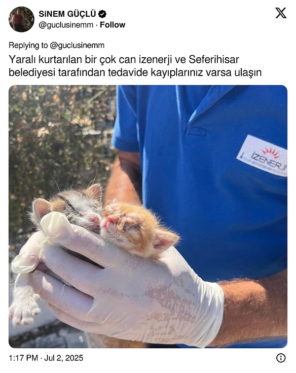 Aslında bu yangında da hepimiz yara aldık... 👇