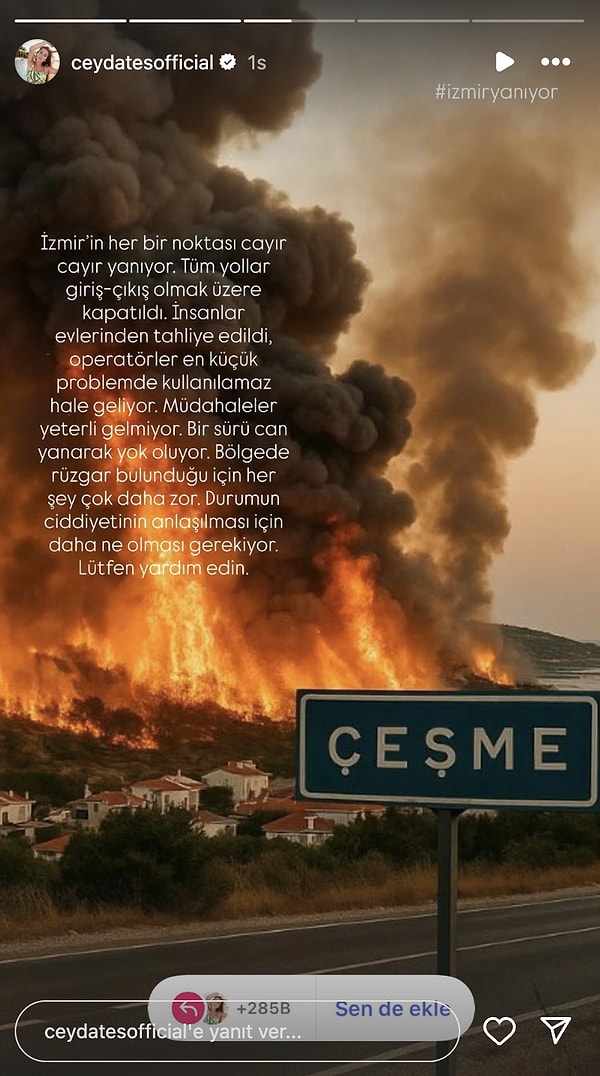 Ceyda Ateş