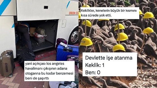 Los Angeles Adana Benzerliğinden KPSS Kazanan Kekliğe Son 24 Saatin Viral Tweetleri