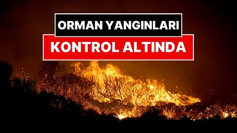 İzmir’deki Orman Yangınları Kontrol Altına Alındı: Bakan Yumaklı Açıkladı