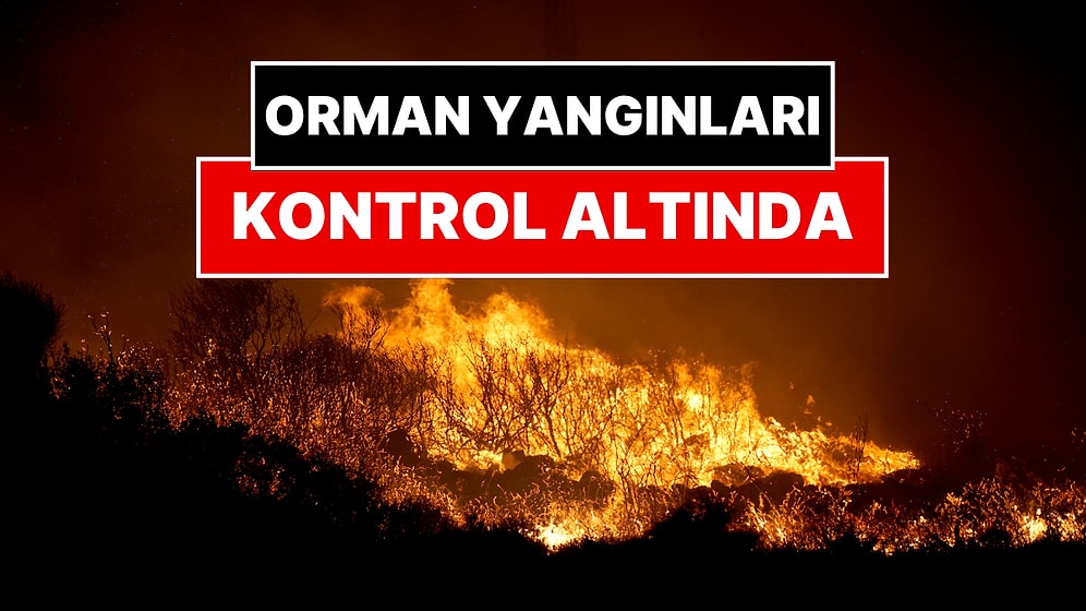 İzmir’deki Orman Yangınları Kontrol Altına Alındı: Bakan Yumaklı Açıkladı