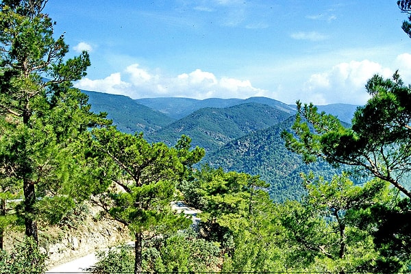 The Best Time to Visit Mount Ida