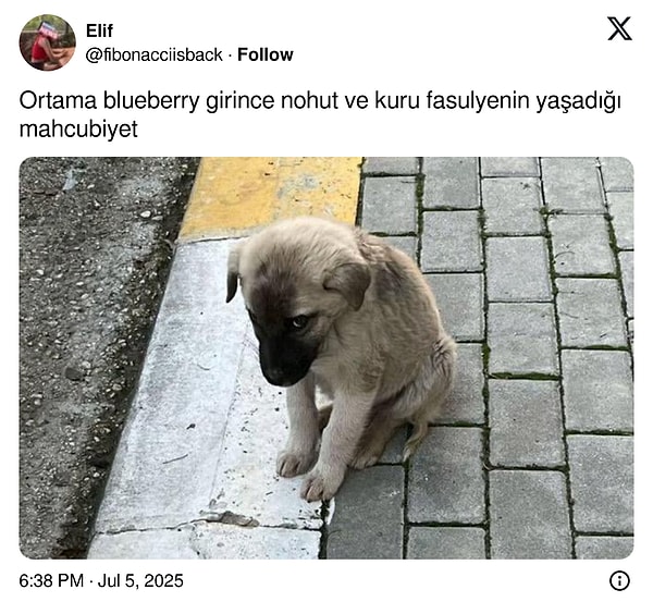 👇🏻