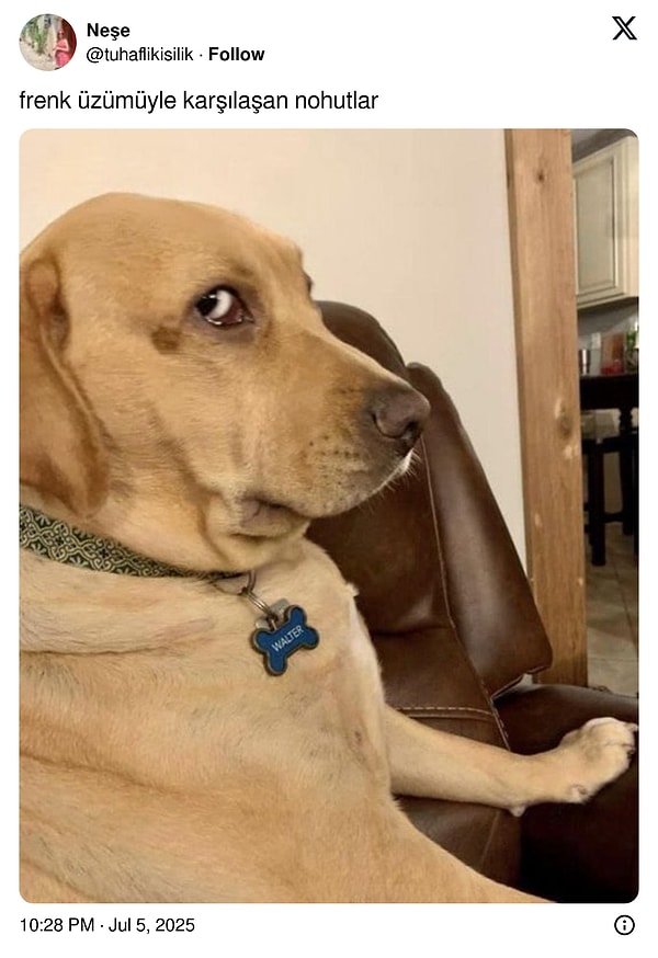 👇🏻