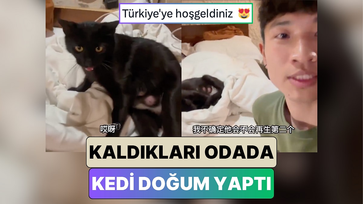 Kapadokya&apos;da Tatil Yapan Çinli Çifte Beklenmedik Sürpriz: Bir Kedi Kaldıkları Odada Doğum Yaptı