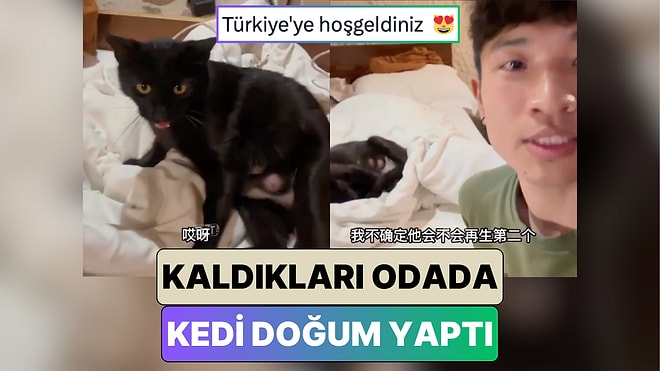 Kapadokya'da Tatil Yapan Çinli Çifte Beklenmedik Sürpriz: Bir Kedi Kaldıkları Odada Doğum Yaptı