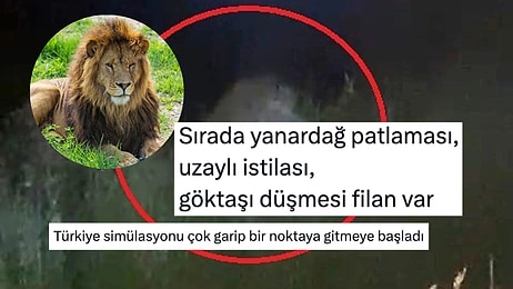 "Resmen Simülasyon": Manavgat'ta Hayvan Parkından Kaçan Aslana Yorum Yağdı