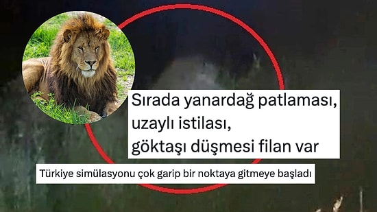 "Resmen Simülasyon": Manavgat'ta Hayvan Parkından Kaçan Aslana Yorum Yağdı