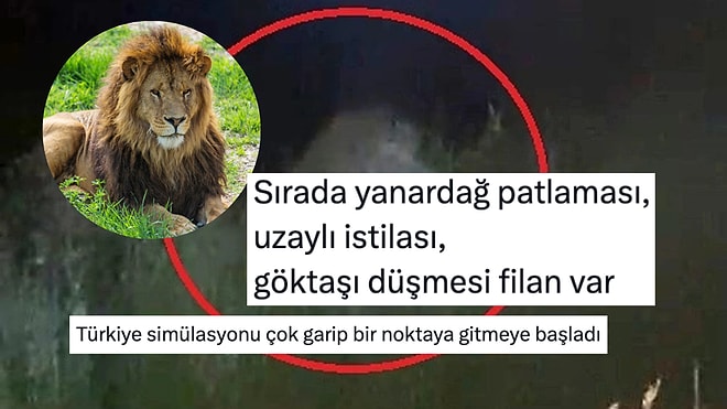 "Resmen Simülasyon": Manavgat'ta Hayvan Parkından Kaçan Aslana Yorum Yağdı