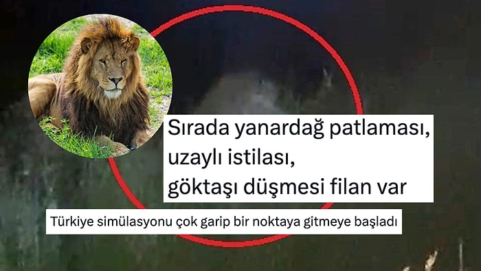 "Resmen Simülasyon": Manavgat'ta Hayvan Parkından Kaçan Aslana Yorum Yağdı