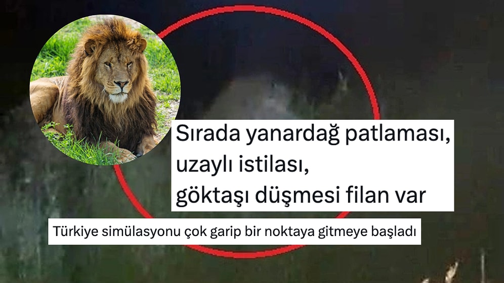 "Resmen Simülasyon": Manavgat'ta Hayvan Parkından Kaçan Aslana Yorum Yağdı