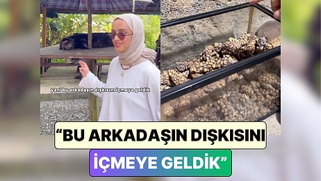 Kilosu 10 Bin TL: Bir İçerik Üreticisi Dünyanın En Pahalı Kahvesi Kopi Luwak'ı Denediği Anları Paylaştı