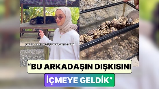Kilosu 10 Bin TL: Bir İçerik Üreticisi Dünyanın En Pahalı Kahvesi Kopi Luwak'ı Denediği Anları Paylaştı