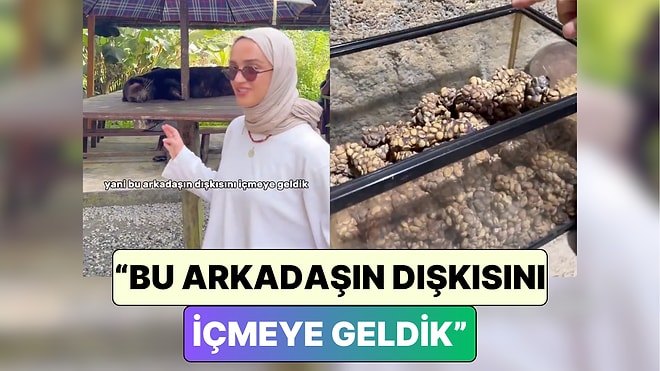 Kilosu 10 Bin TL: Bir İçerik Üreticisi Dünyanın En Pahalı Kahvesi Kopi Luwak'ı Denediği Anları Paylaştı
