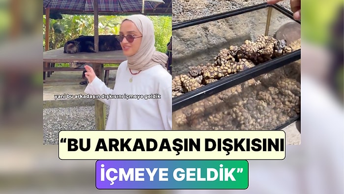 Kilosu 10 Bin TL: Bir İçerik Üreticisi Dünyanın En Pahalı Kahvesi Kopi Luwak'ı Denediği Anları Paylaştı