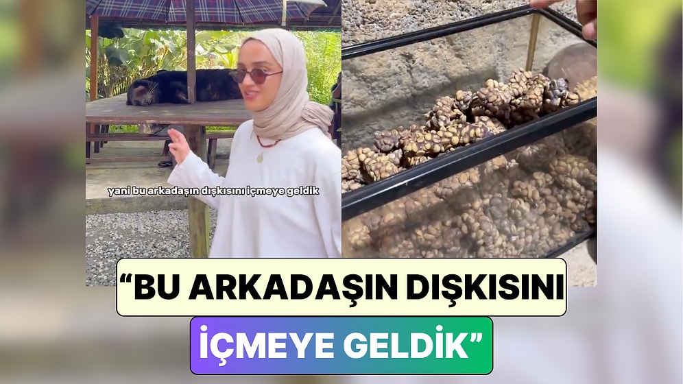 Kilosu 10 Bin TL: Bir İçerik Üreticisi Dünyanın En Pahalı Kahvesi Kopi Luwak'ı Denediği Anları Paylaştı
