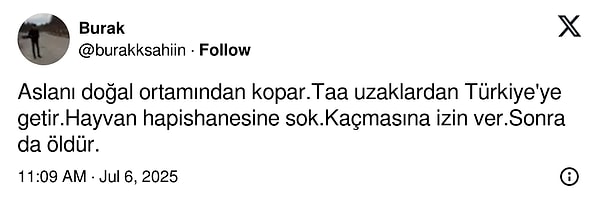 👇🏻