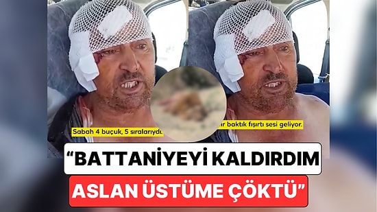 Antalya'da Hayvanat Bahçesinden Kaçan Aslanın Saldırısına Uğrayan Talihsiz Adam Yaşadıklarını Anlattı