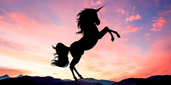 4. Unicorn nedir diye sorsak?