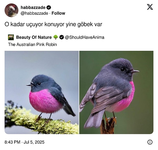Yarın görüşürüz 👋