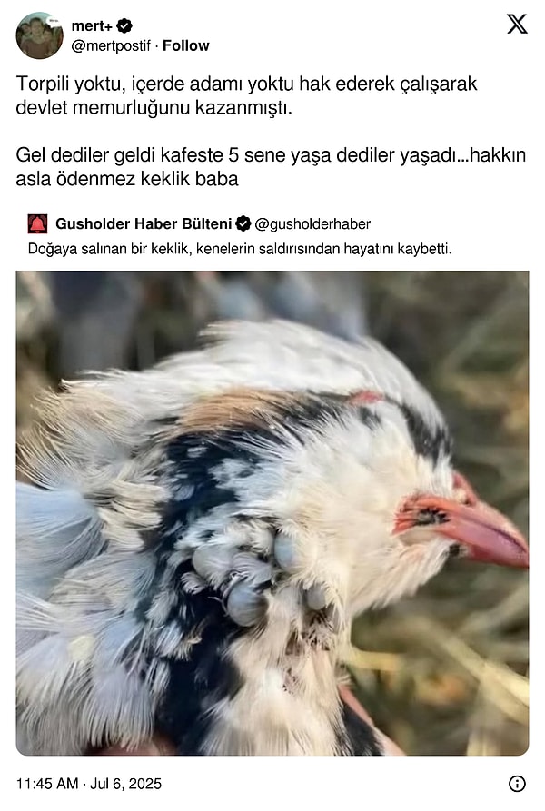 👇