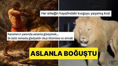 Bi' Tık Üstü Gladyatörlük: Antalya'da Kaçan Aslanla Boğuşan Adam Seviyeyi Arşa Çıkardı