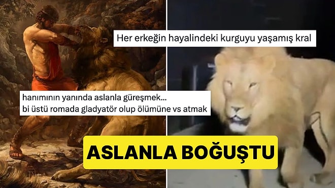 Bi' Tık Üstü Gladyatörlük: Antalya'da Kaçan Aslanla Boğuşan Adam Seviyeyi Arşa Çıkardı