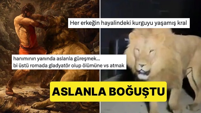 Bi' Tık Üstü Gladyatörlük: Antalya'da Kaçan Aslanla Boğuşan Adam Seviyeyi Arşa Çıkardı