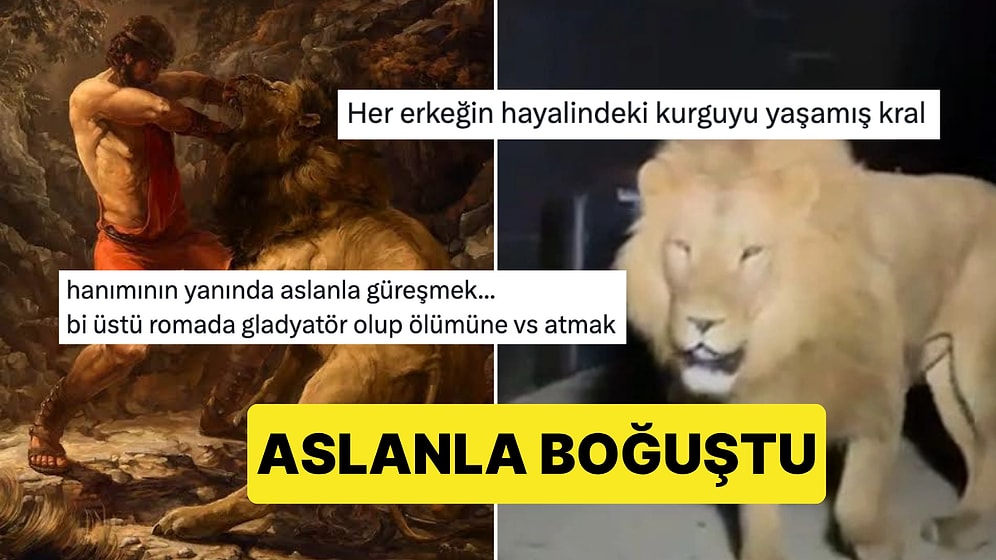 Bi' Tık Üstü Gladyatörlük: Antalya'da Kaçan Aslanla Boğuşan Adam Seviyeyi Arşa Çıkardı