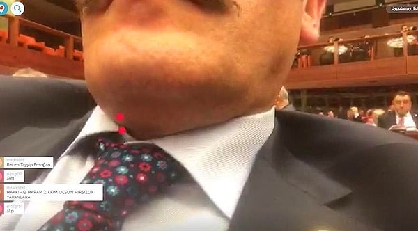 Ahmet Hamdi Çamlı, Yeliz olayı nedir?