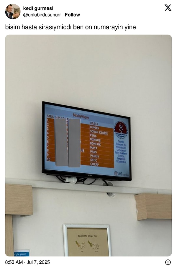 Bir 'kedi' kullanıcı da bu bekleme sırasını paylaştı.