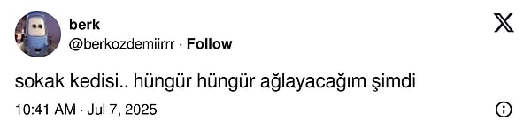 Herkesin dikkatini ise 'sokak kedisi' çekti :(
