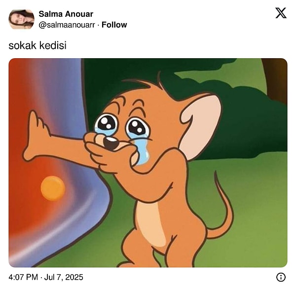 👇🏻