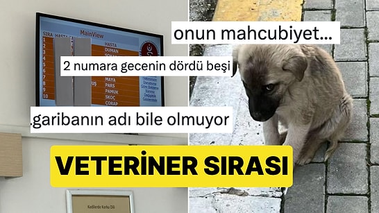 Bir Veterinerin Bekleyen Hasta Ekranındaki Detay Yürekleri Dağladı