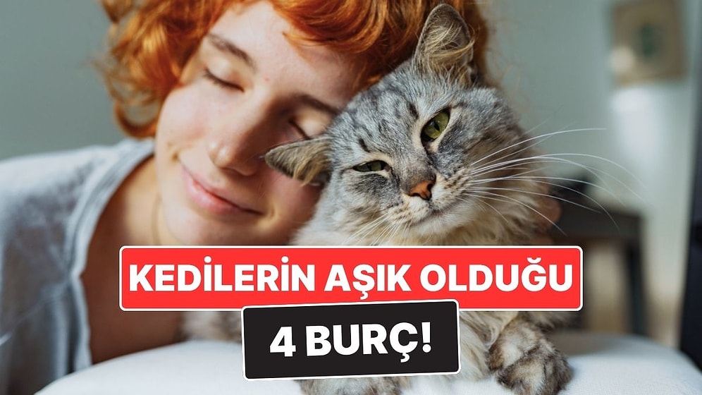 Kediseverliğiyle Meşhur 4 Burç! Bu Burçlar Kedilerle Gizli Bağ Kuruyor
