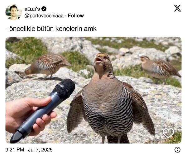 Keklikler bu ara çok popüler...