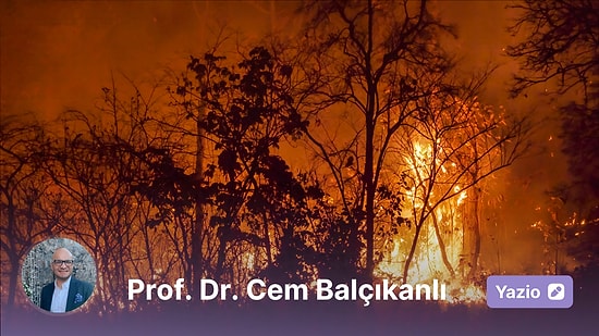 Tohumlar Fidana, Fidanlar Ağaca! Ağaçlar Nereye?