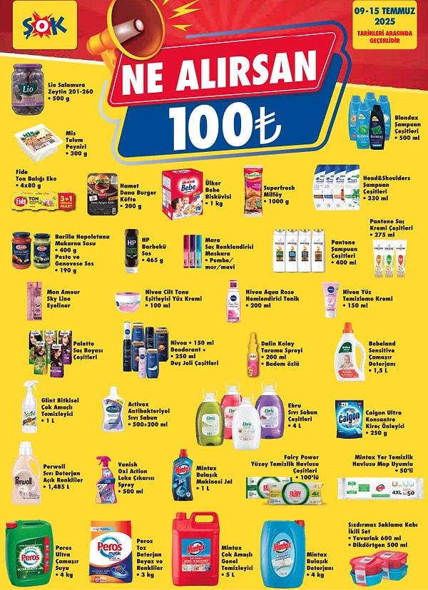 Ne Alırsan 100 TL