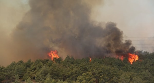 Hatay, önce yangınlarla boğuştu.