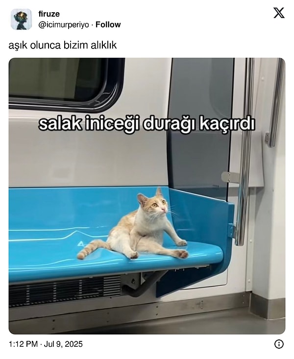 👇