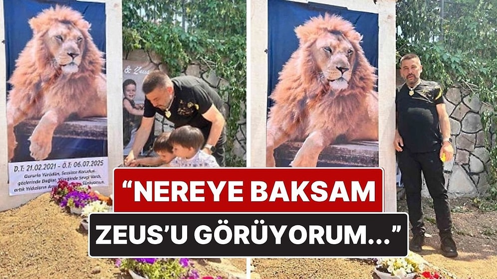 Öldürülen Aslan Zeus’un Sahibi Evinin Önüne Temsili Mezar Yaptırdı
