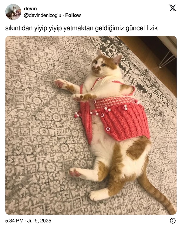 👇