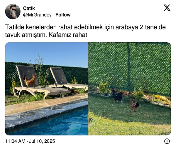 Bir keklik olmasa da...