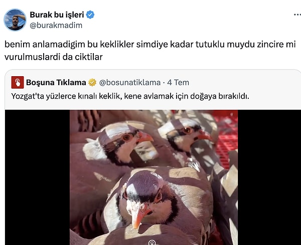 Özel olarak yetiştirildiler...